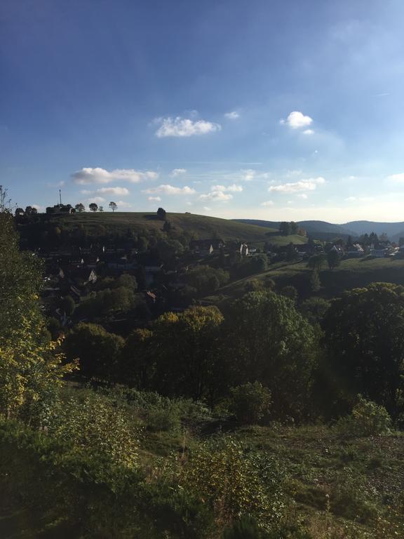 Lina's Ferienwohnungen Sankt Andreasberg Exterior foto